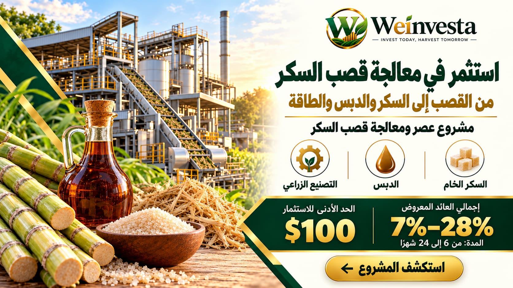 مشروع عصر ومعالجة قصب السكر: بناء سلسلة قيمة متكاملة لإنتاج السكر
