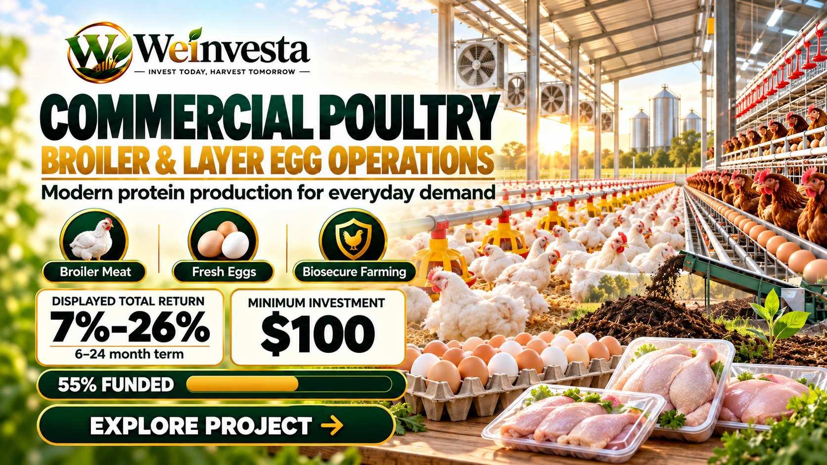 Commercial Poultry Investment: Broiler Meat and Layer Egg Operations