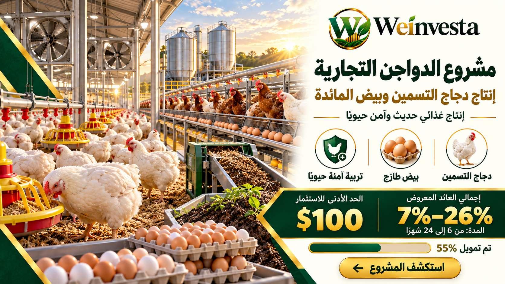 مشروع الدواجن التجارية: إنتاج دجاج التسمين وبيض المائدة
