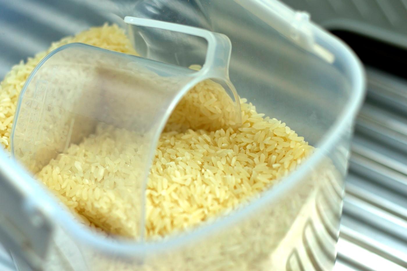 Rice Bran Oil Production Project photo 3