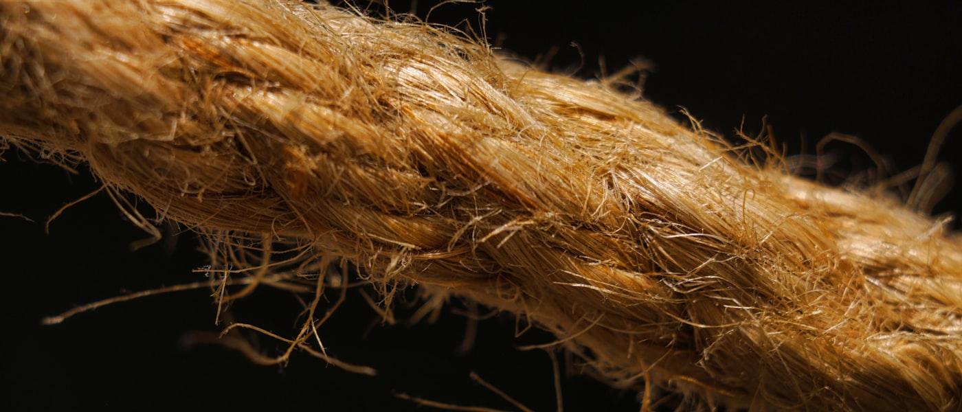 Organic Banana Fiber & Musa Silk Extraction Project photo 2