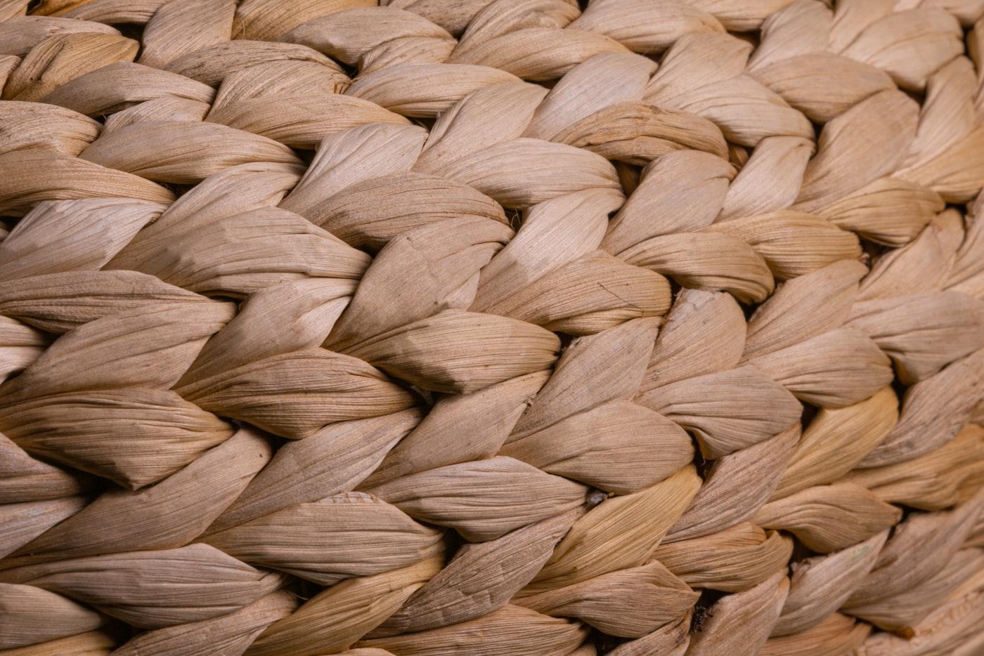 Organic Banana Fiber & Musa Silk Extraction Project photo 3