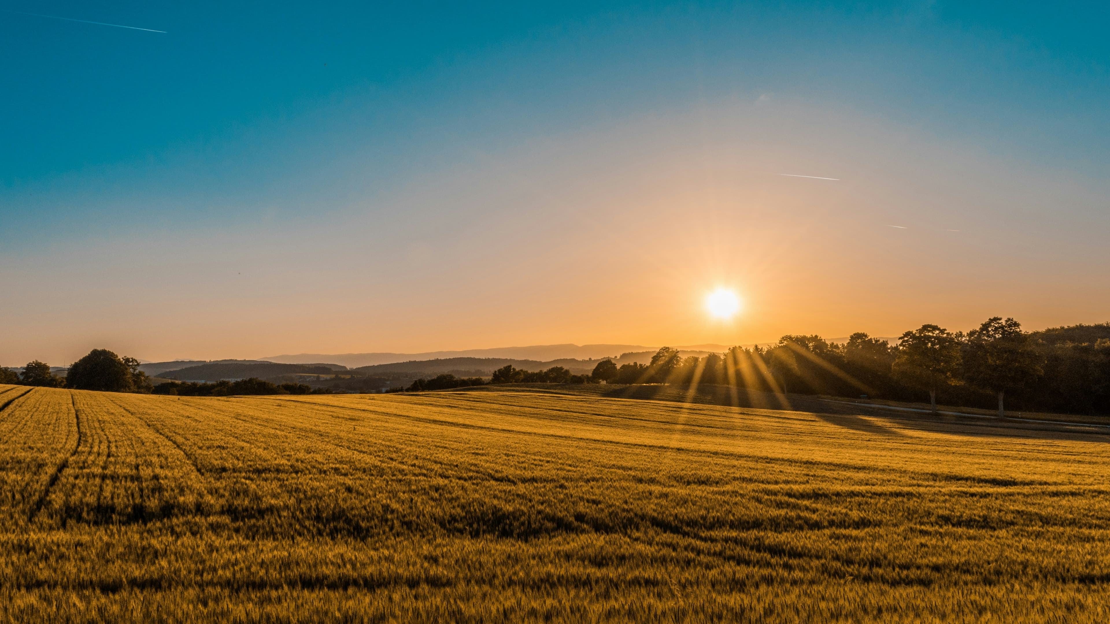Premium Agriculture Project