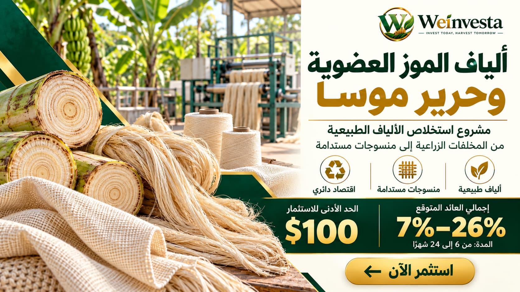 مشروع ألياف الموز وحرير موسى العضوي: تحويل المخلفات الزراعية إلى مواد مستدامة
