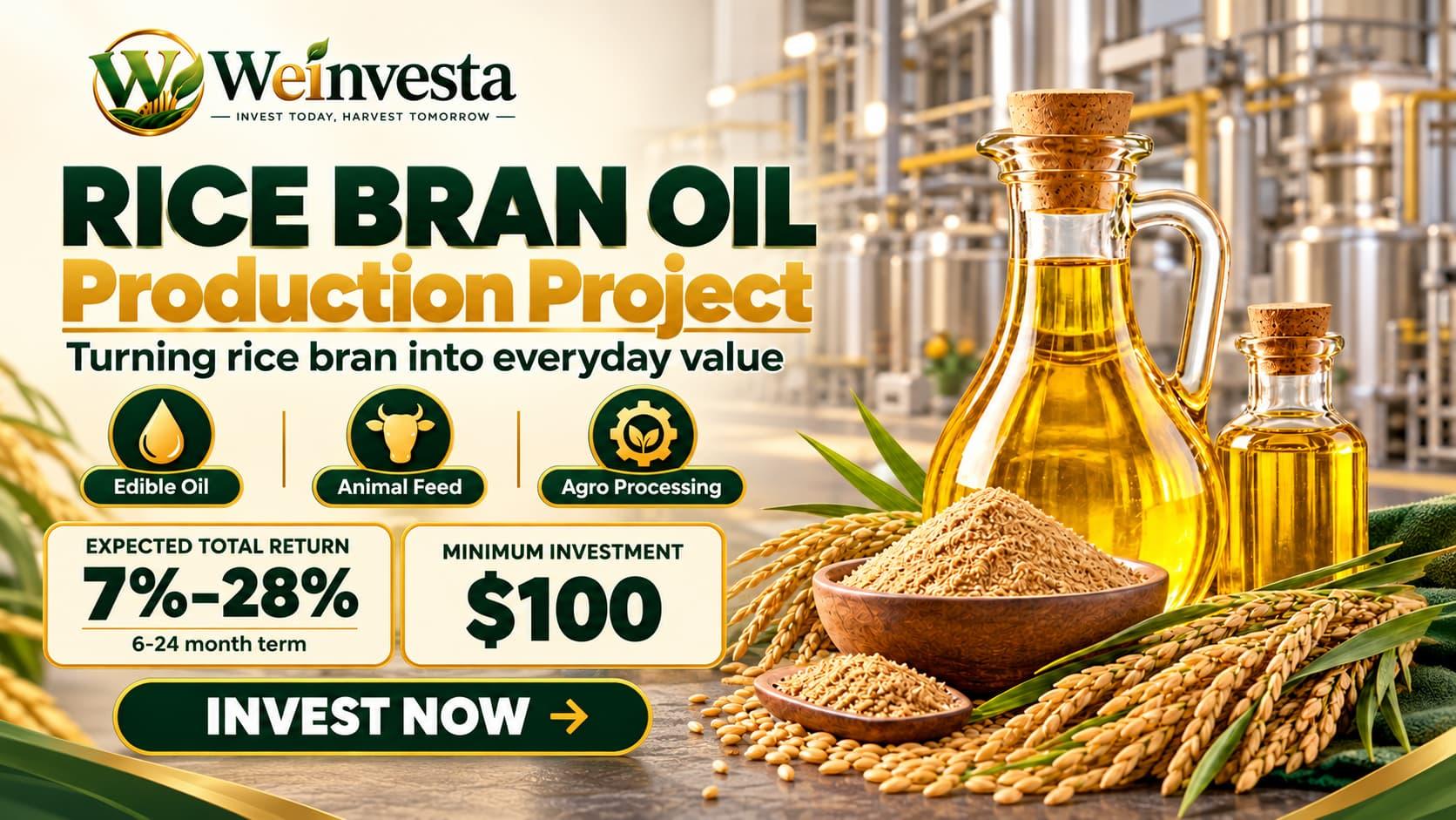 Rice Bran Oil Production Project: Turning Agricultural Byproducts into Edible Oil