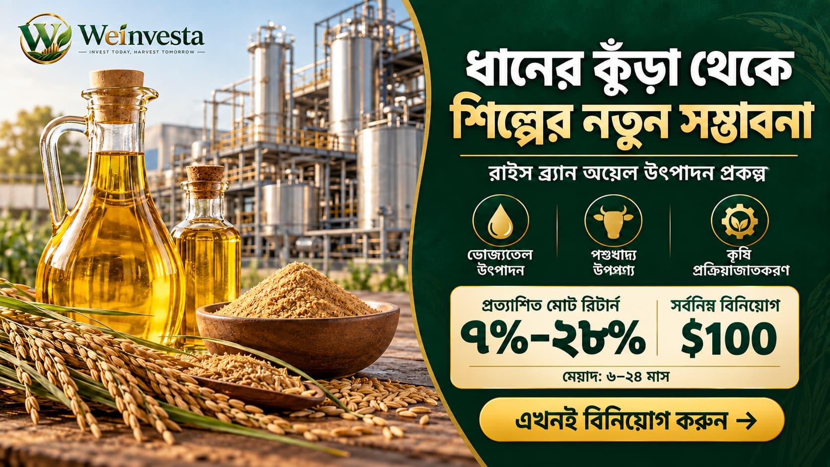 রাইস ব্র্যান অয়েল প্রোডাকশন প্রজেক্ট: কৃষি উপজাত থেকে ভোজ্য তেল উৎপাদন