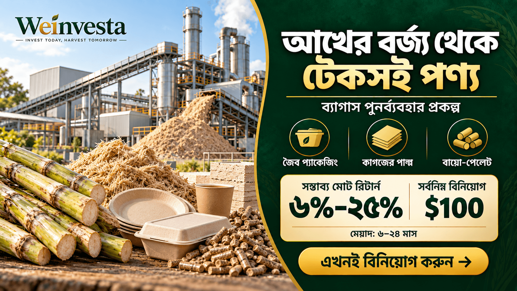 সুগারকেন ব্যাগাস রিসাইক্লিং প্রজেক্ট: আখের বর্জ্য থেকে টেকসই পণ্য