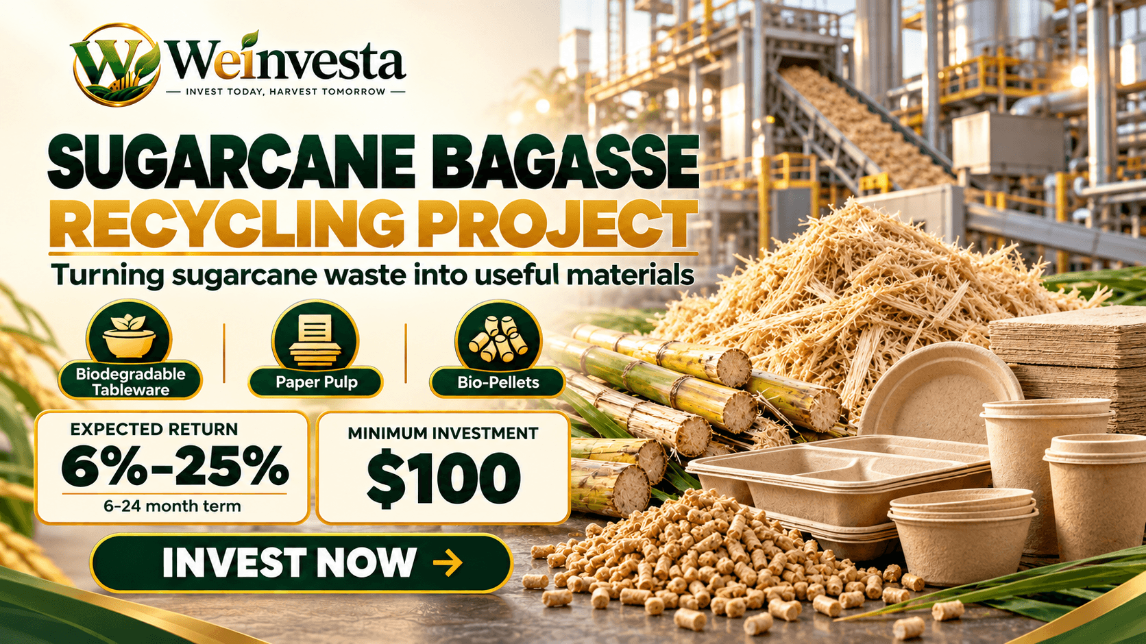 Sugarcane Bagasse Recycling Project: Turning Agricultural Waste into Sustainable Products