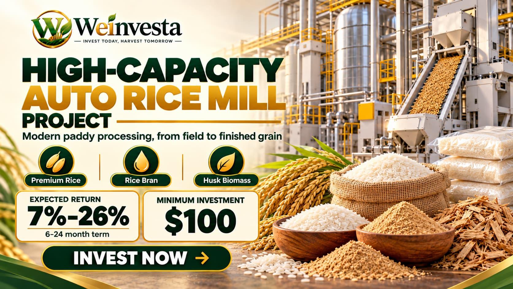 High-Capacity Auto Rice Mill Project: Investing in Modern Rice Processing