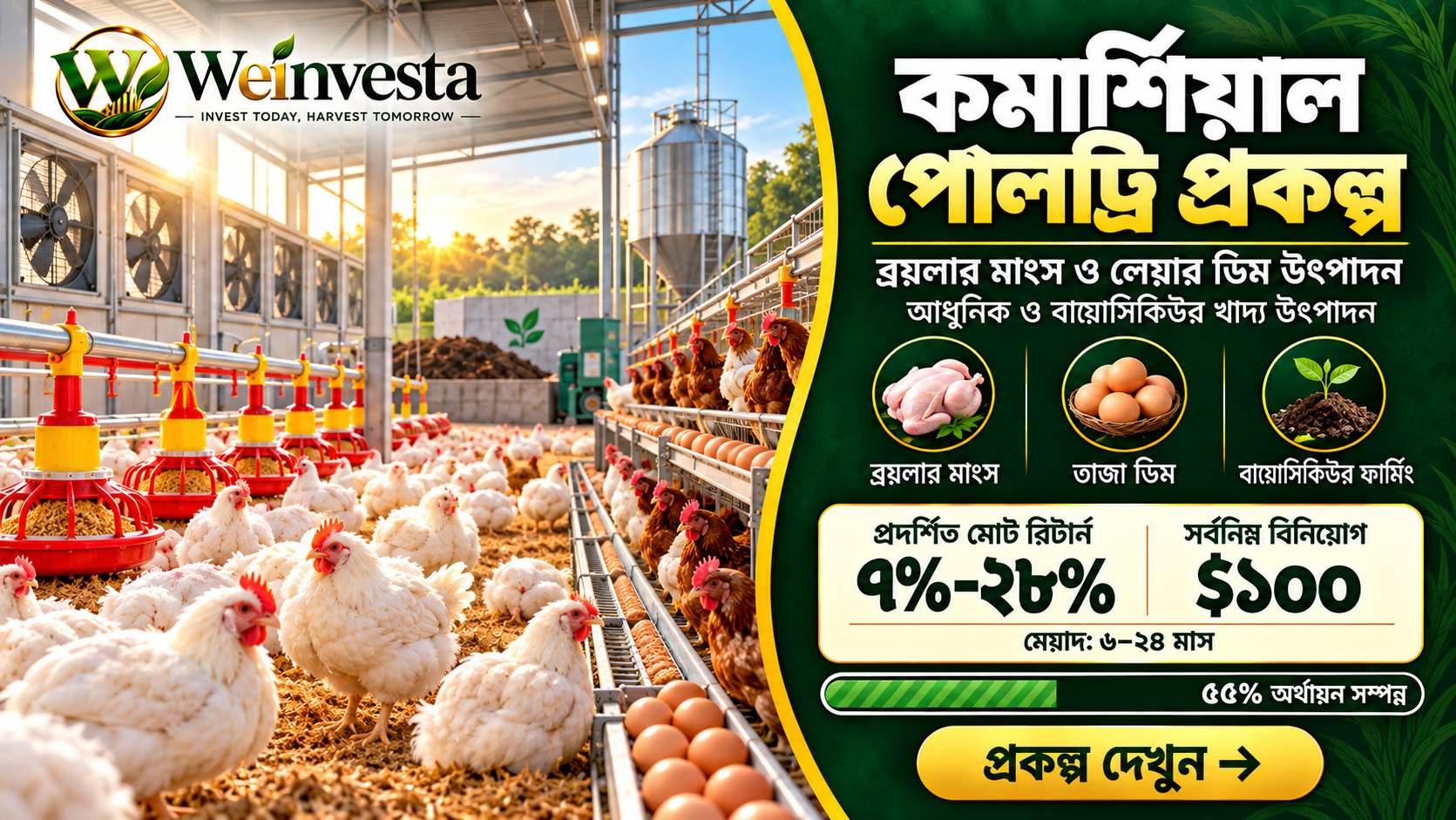 কমার্শিয়াল পোলট্রি প্রকল্প: ব্রয়লার মাংস ও লেয়ার ডিম উৎপাদন