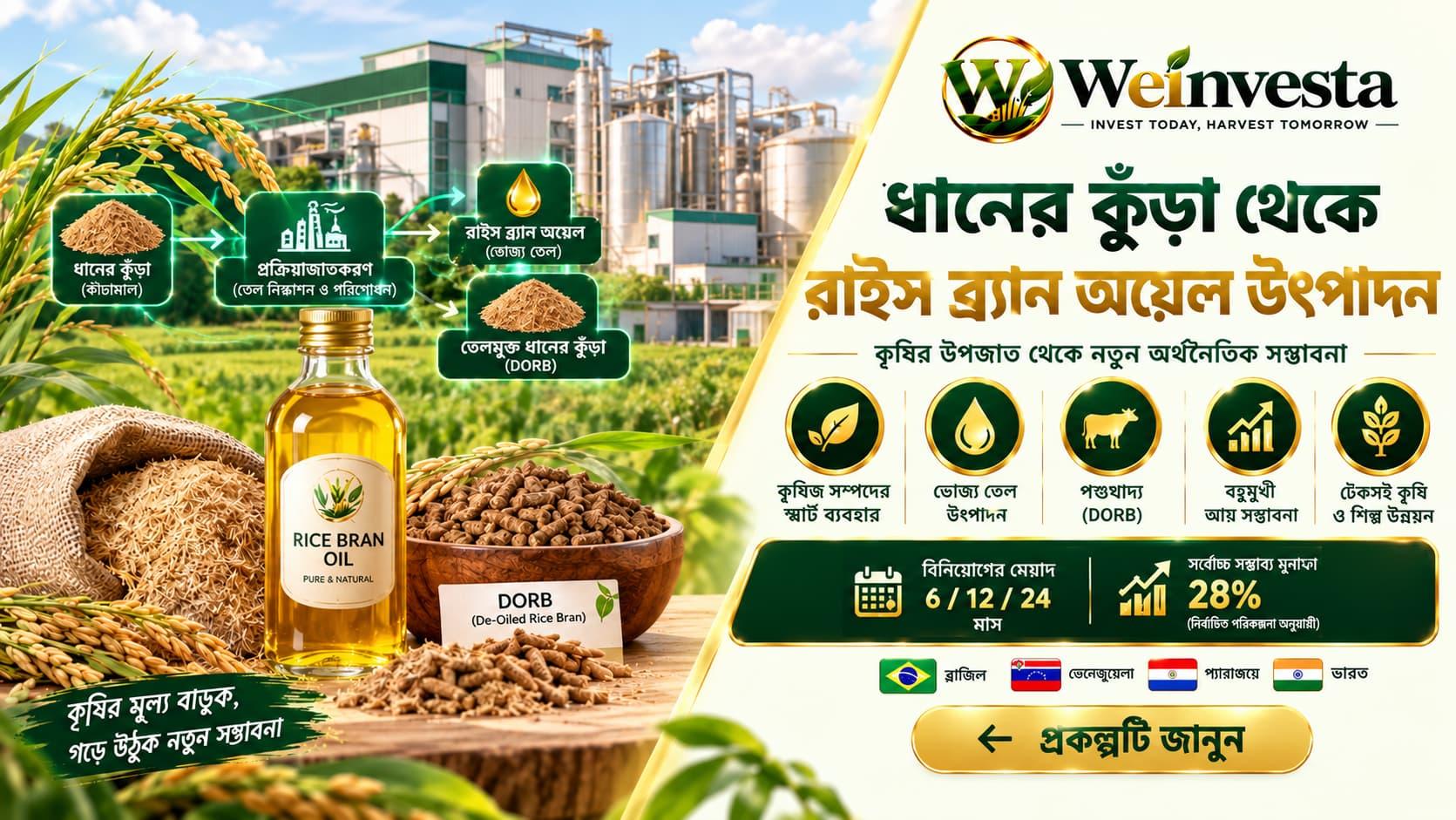 ধানের কুঁড়া থেকে রাইস ব্র্যান অয়েল উৎপাদন | WeInvesta