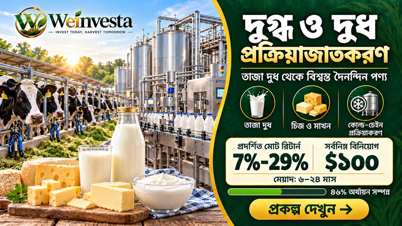 ডেইরি ও দুধ প্রক্রিয়াজাতকরণ প্রকল্প: আধুনিক দুগ্ধশিল্পে বিনিয়োগের সুযোগ