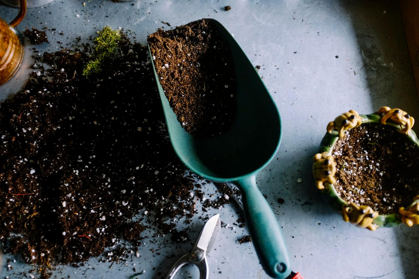 Hands holding soil with a sprouting seedling