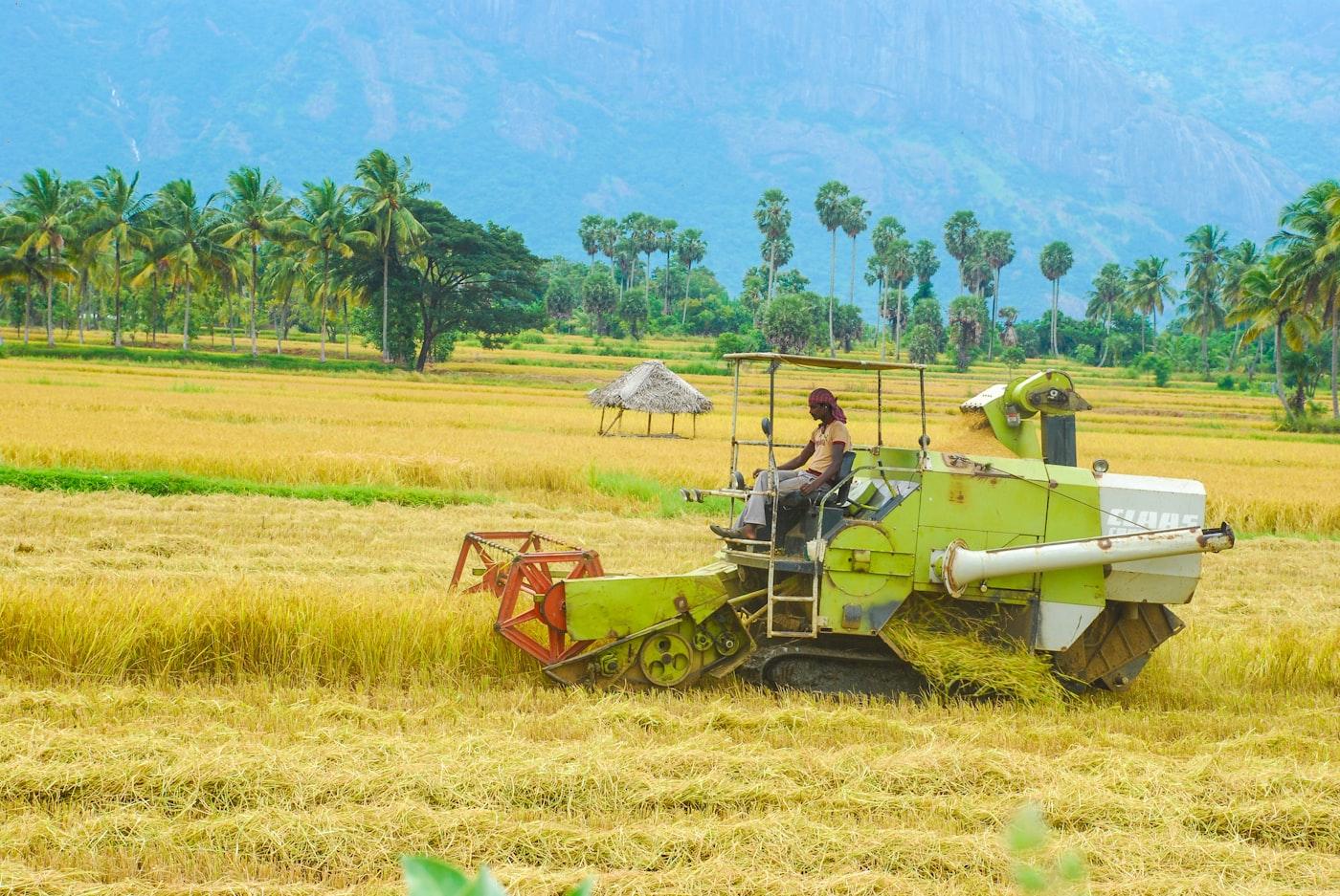 High-Capacity Auto Rice Mill Project photo 2