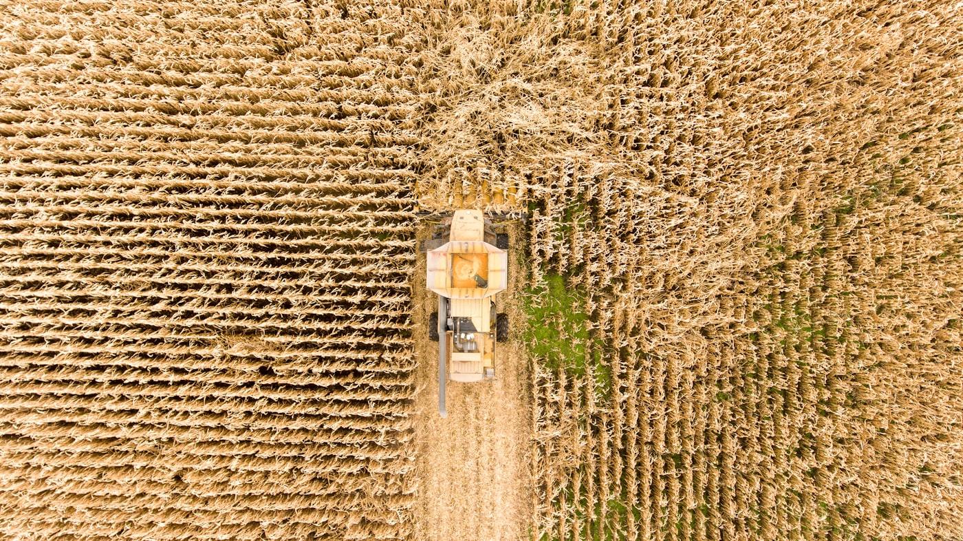 Premium Agriculture Project photo 3