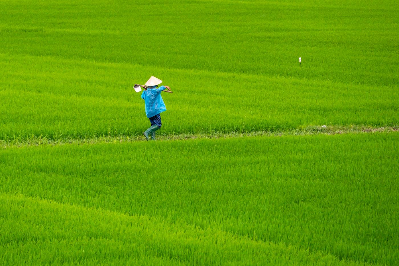 Premium Agriculture Project photo 2