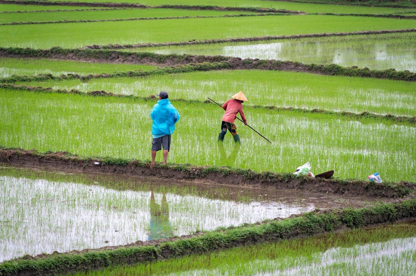Premium Agriculture Project photo 4