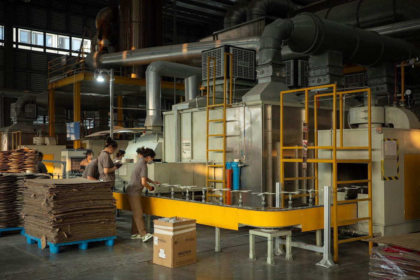 Sugarcane Waste (Bagasse) Recycling Project photo 2