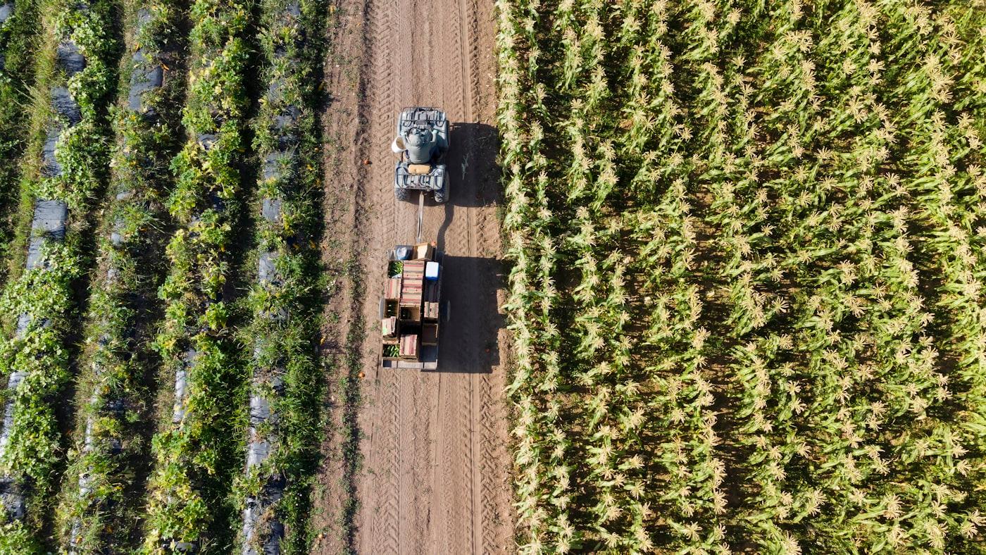 Premium Agriculture Project